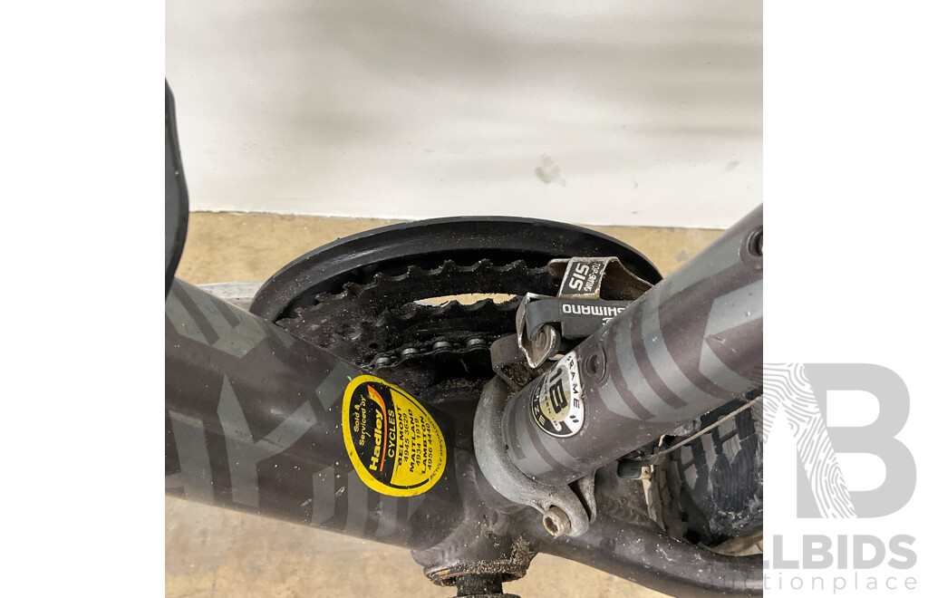 GIANT Revel Mountain Bike