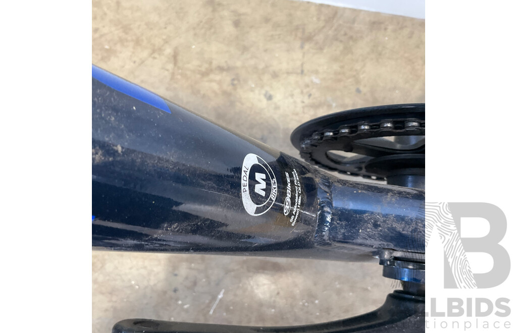 PEDAL Jaguar 29