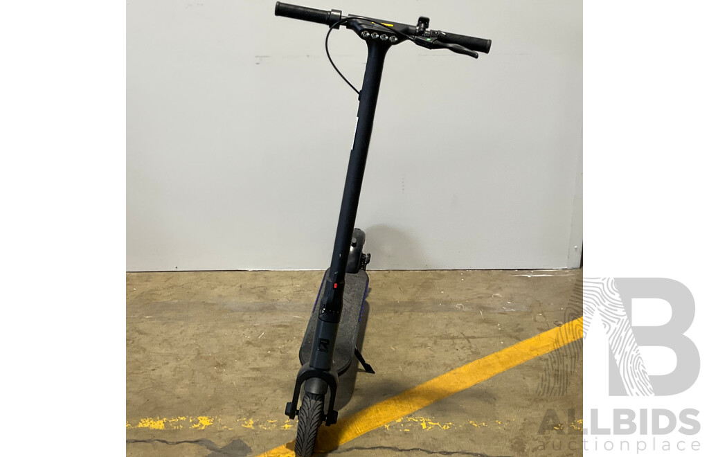 REID Rover Sport 250W Electric Scooter