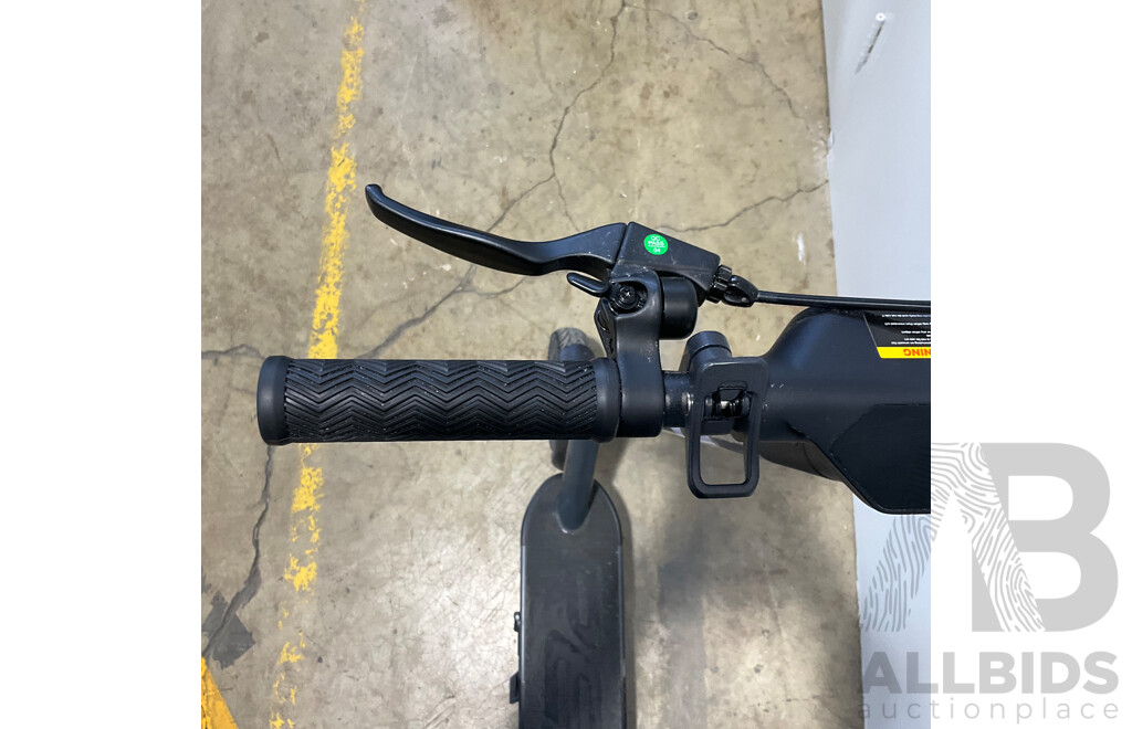 REID Rover Sport 250W Electric Scooter