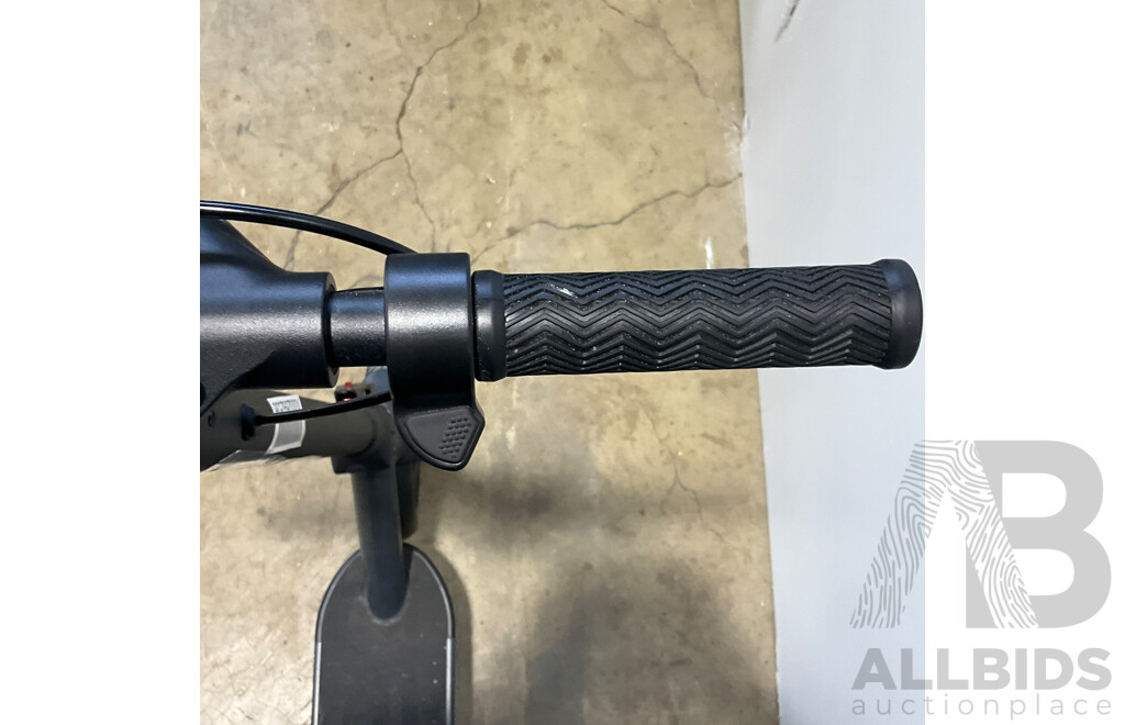 REID Rover Sport 250W Electric Scooter