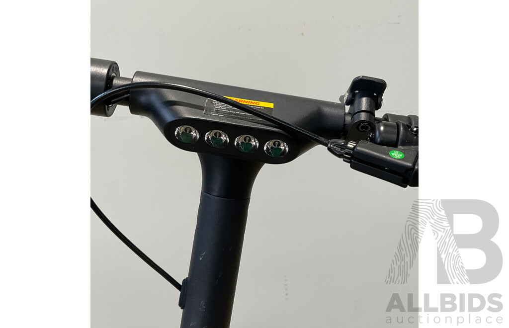 REID Rover Sport 250W Electric Scooter