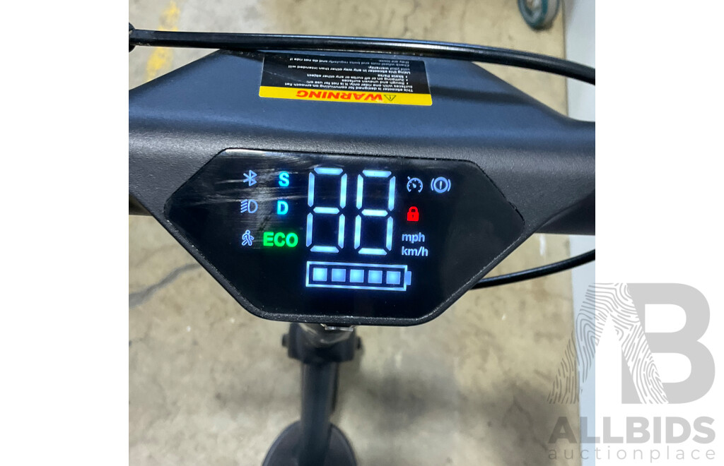 REID Rover Sport 250W Electric Scooter
