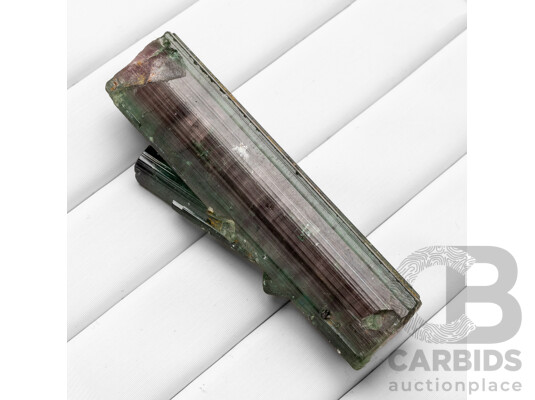 88.90ct Watermelon Tourmaline
