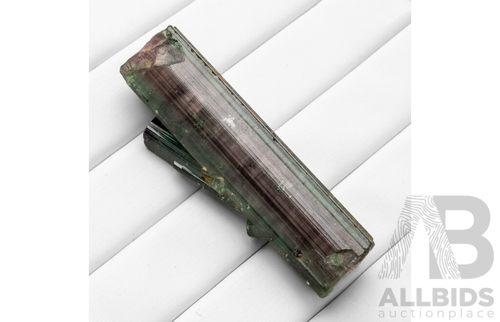 88.90ct Watermelon Tourmaline