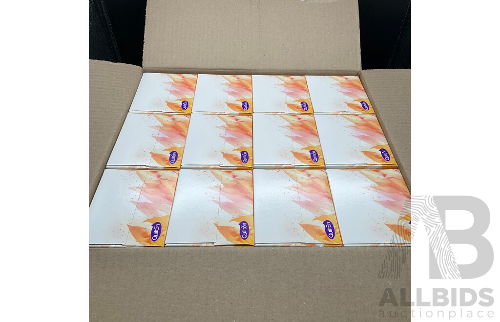 QUILTON Aloe Vera 3 Ply Facial Tissues (12 Boxes)