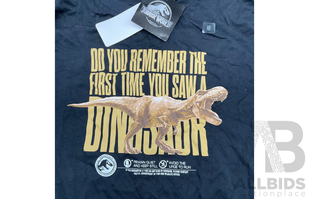 Assortment of Clothing (CHAMPION White Jumper, Black Graphic Jurassic Park Shirt, Navy Blue UNIQLO X JEFF KOONS UT Graphic T-Shirt) - LOT of 3