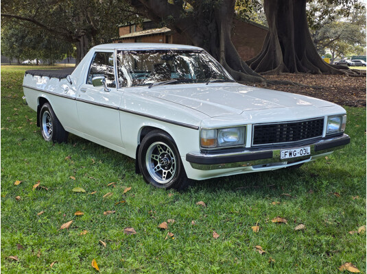 8/1981 Holden WB 2d Utility White V8 4.2L