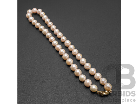925 Sterling Silver & Freshwater Pearl Necklace. Length - 50cms