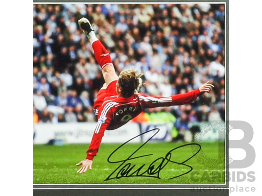 2010 Fifa World Cup Winner Fernando Torres Signed Framed Football Display - One Of One (1/1) - With COA