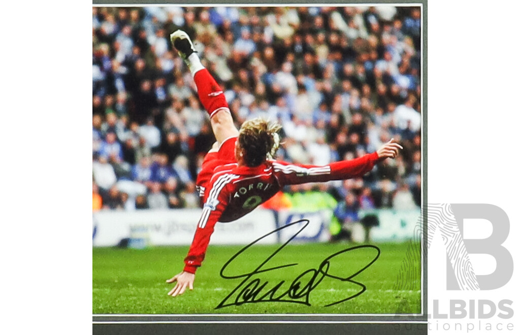 2010 Fifa World Cup Winner Fernando Torres Signed Framed Football Display - One Of One (1/1) - With COA