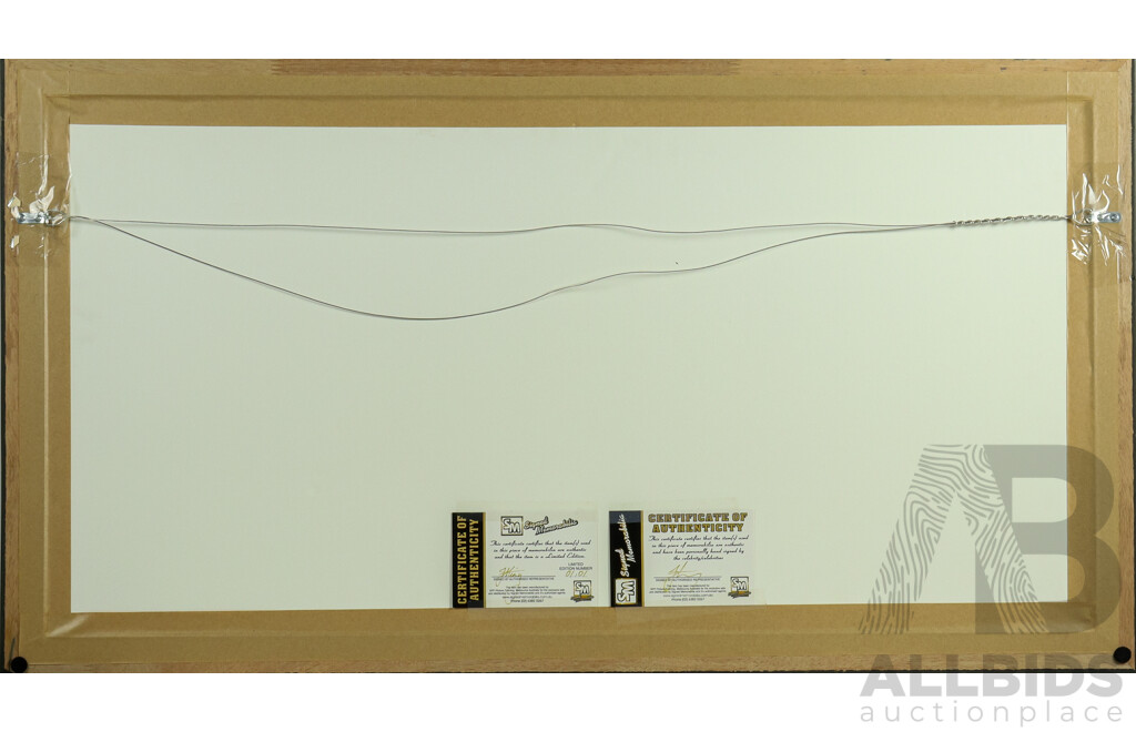 2010 Fifa World Cup Winner Fernando Torres Signed Framed Football Display - One Of One (1/1) - With COA