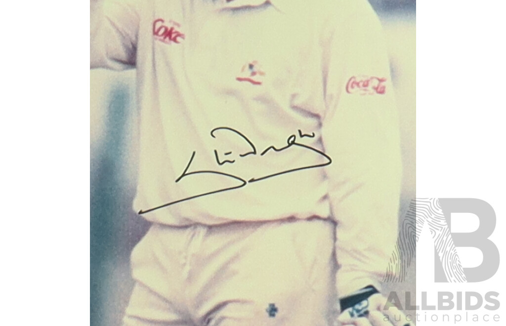 Australian Test Cricket Captain & Two-Time World Cup Winner Steve Waugh Signed Framed Cricket Display