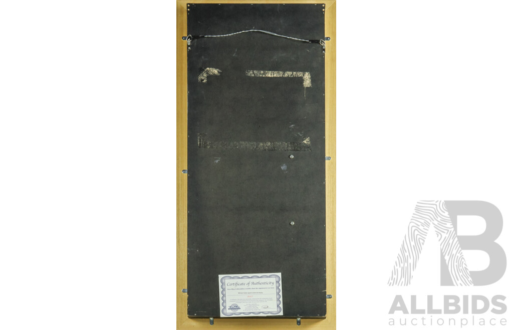 2015 Cricket World Cup Winning Captain & Australian Test Legend Michael Clarke Signed Framed Cricket Bat Display - With COA