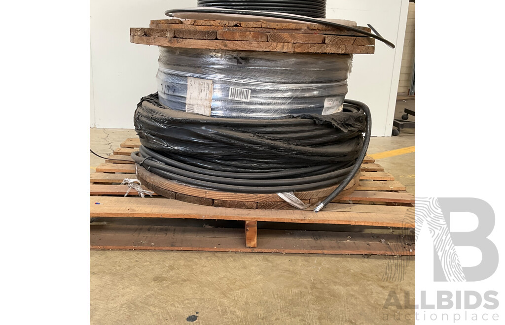 BELDEN DataTuff Industrial Category 6 Ethernet Cable (121872A 010)