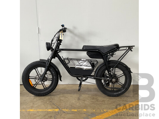 FATFISH Electric Bike