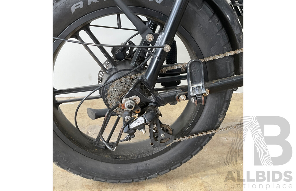 FATFISH Electric Bike