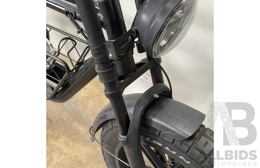 FATFISH Electric Bike