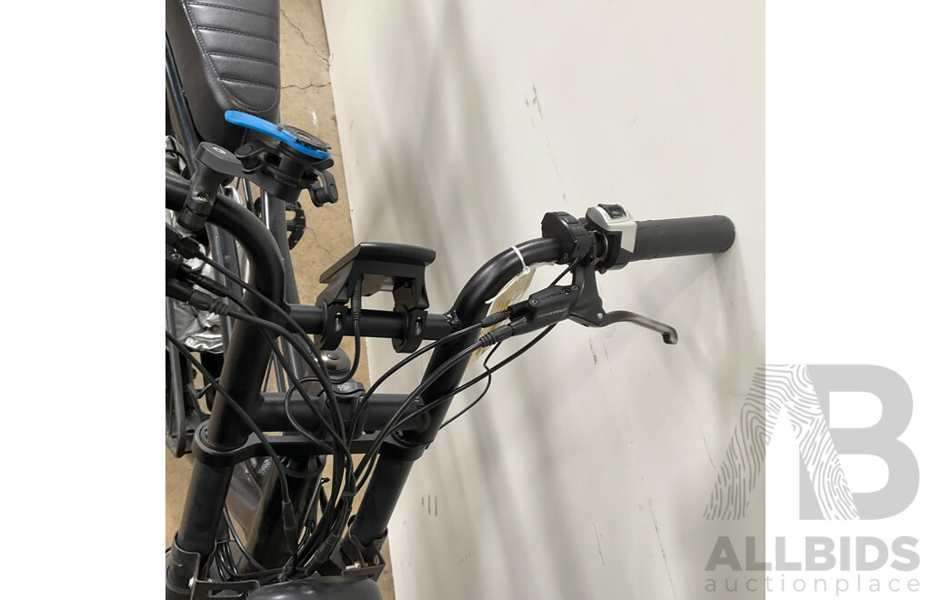 FATFISH Electric Bike