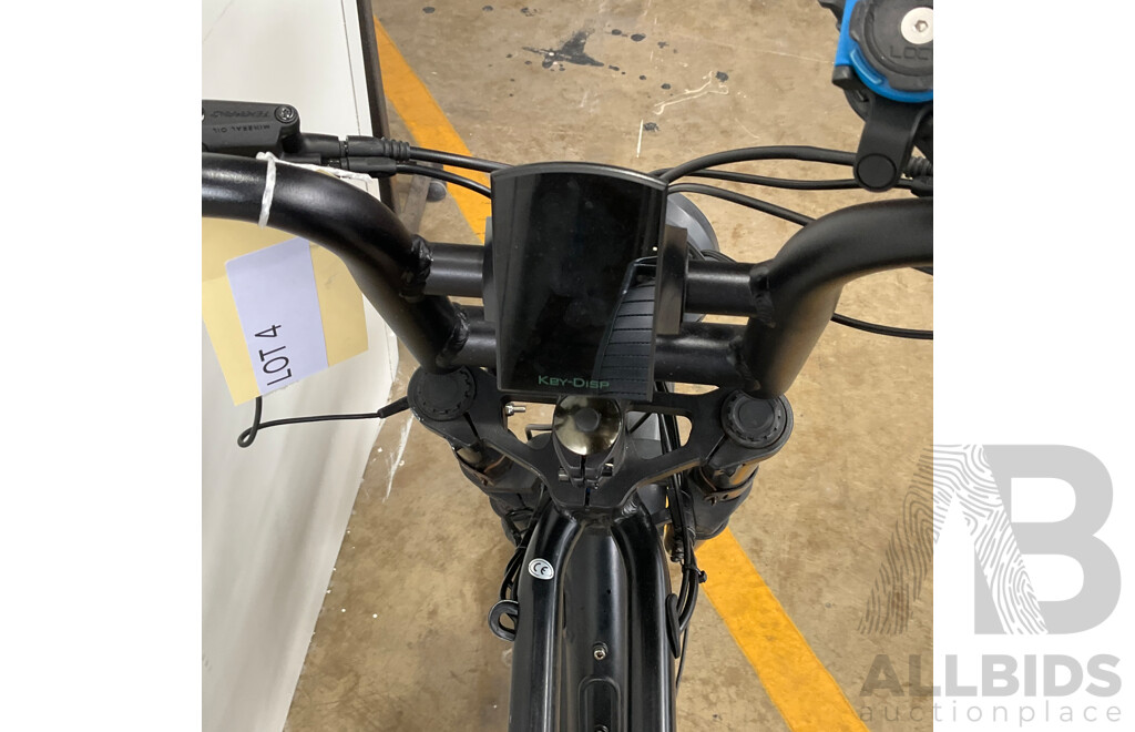 FATFISH Electric Bike
