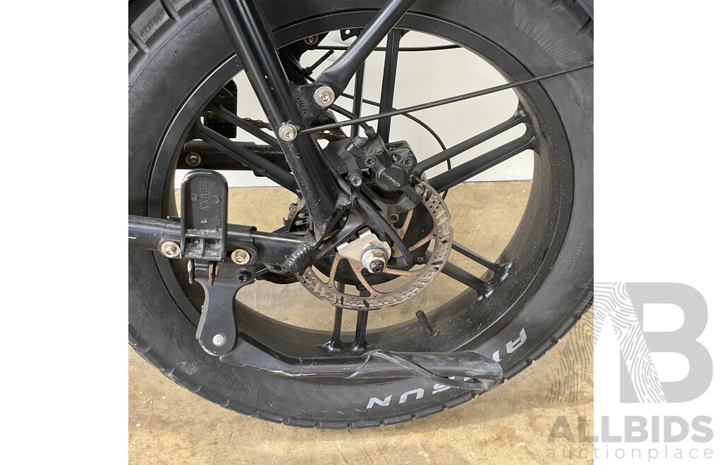 FATFISH Electric Bike