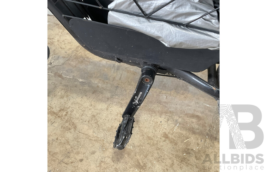 FATFISH Electric Bike