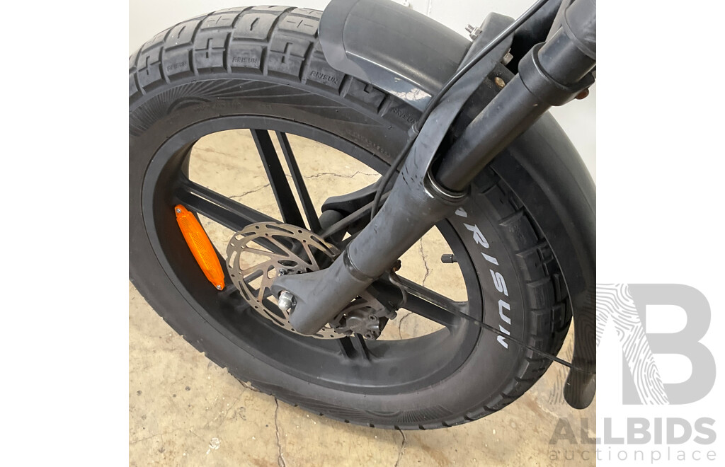 FATFISH Electric Bike
