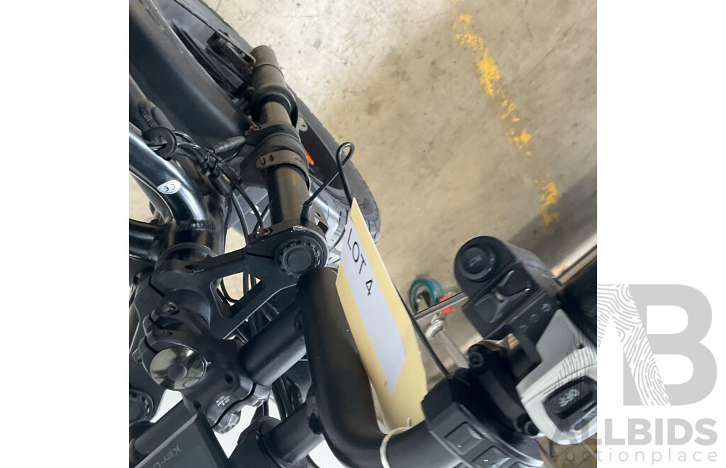 FATFISH Electric Bike