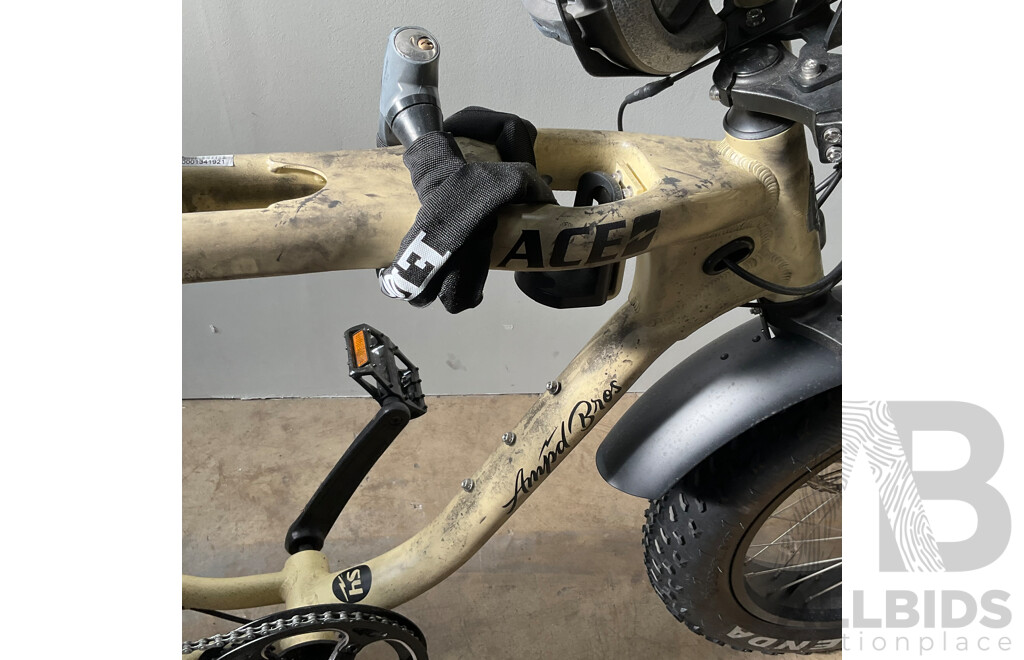 AMPD BROS ACE-X Electric Bike