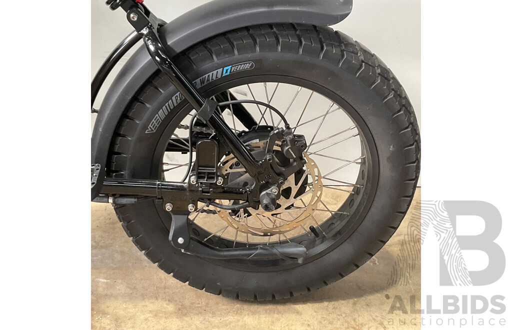 FATBOY Electric Bike